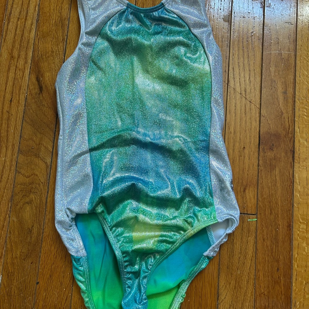 Shimmering Green and Silver Women's Leotard
